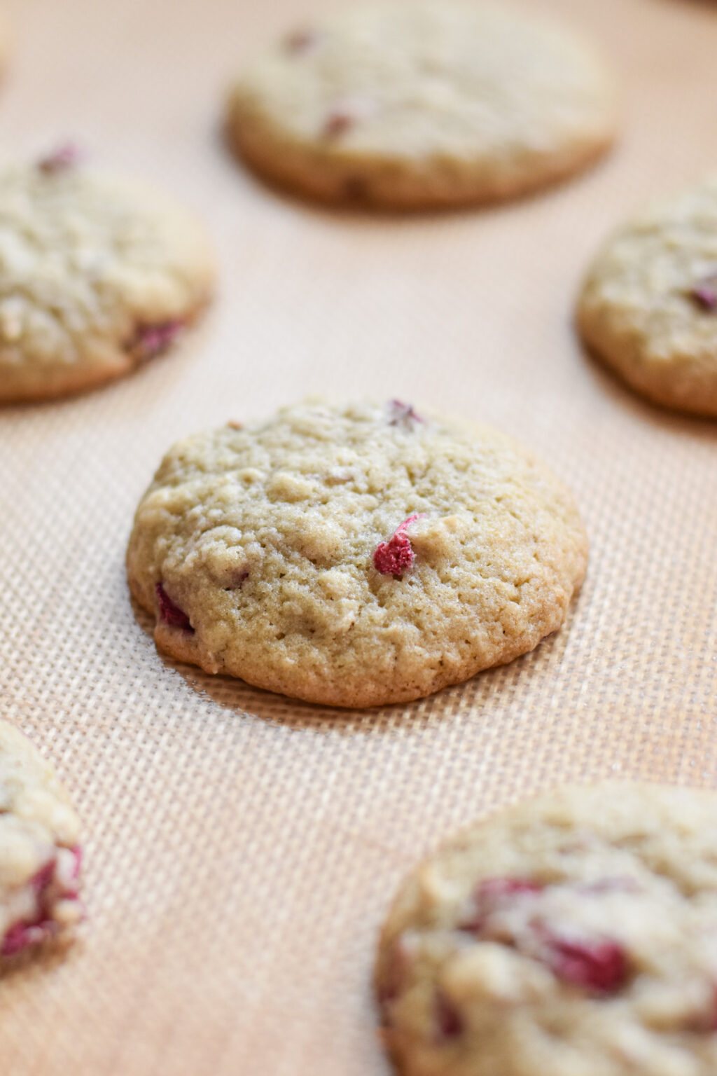 Rhubarb Cookies • Dance Around the Kitchen