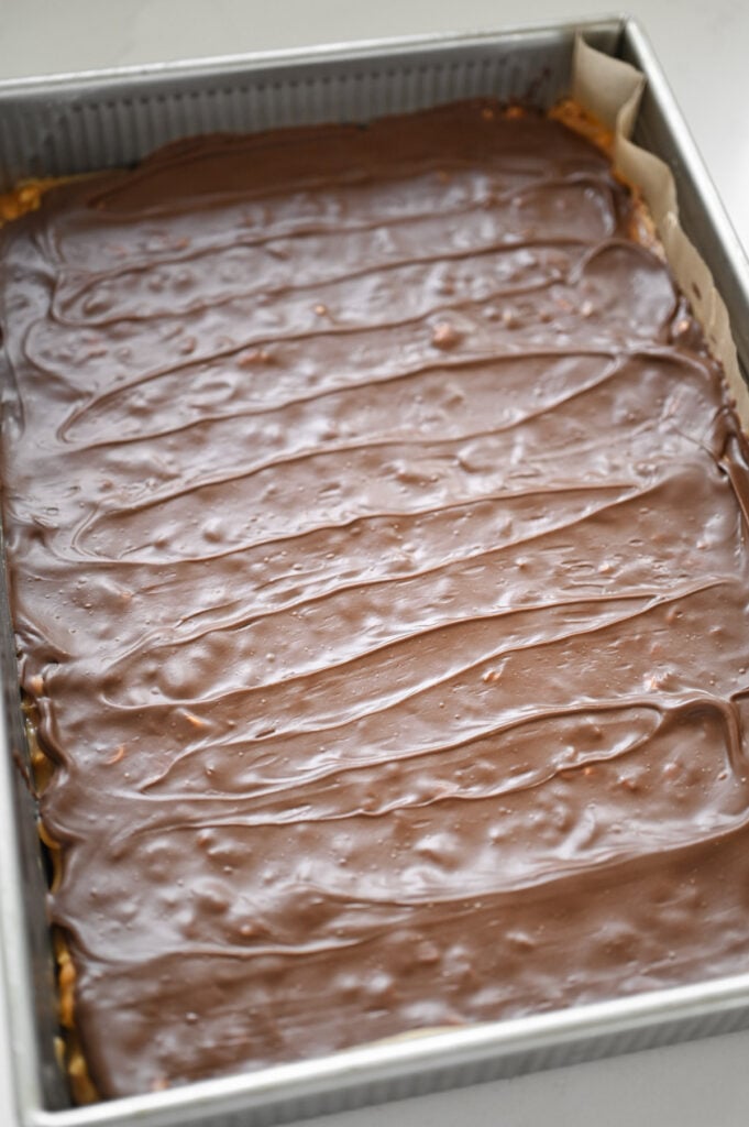 Chocolate spread on top of a pan of bars.