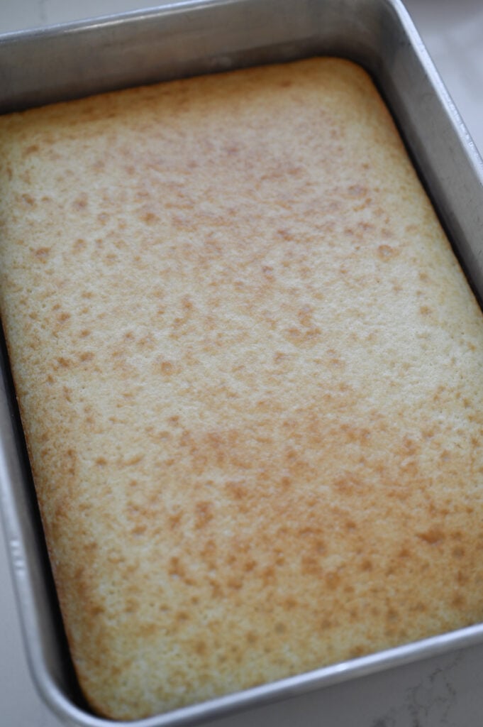 A vanilla cake in a 9x13-inch pan.