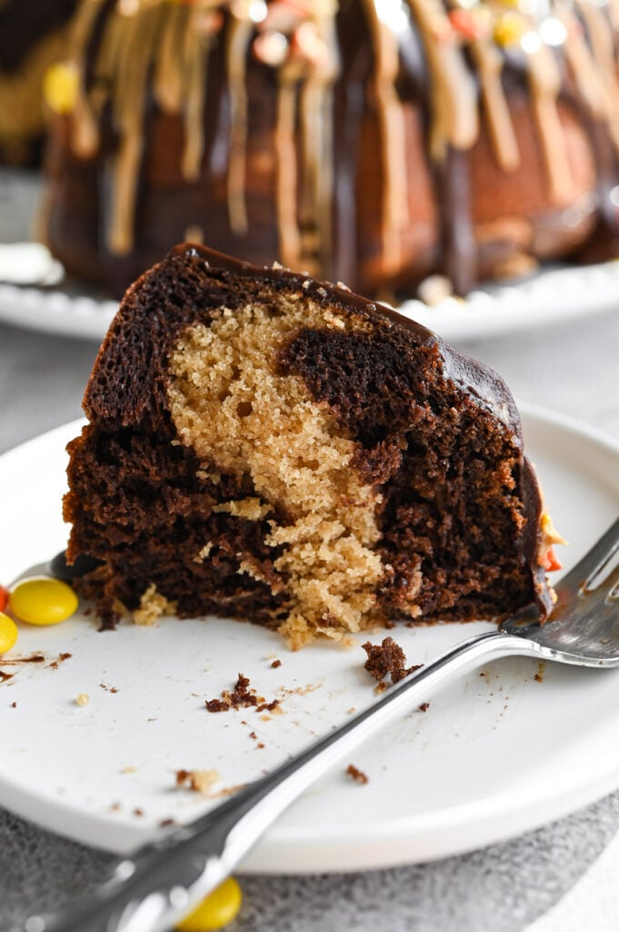 A piece of chocolate peanut butter cake with a couple bite out of it.