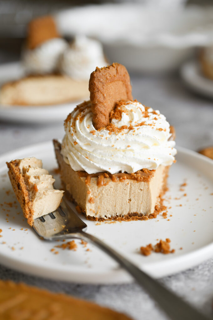 A slice of pie on a white plate with a few bites out of it to show the cross section of the pie slice.