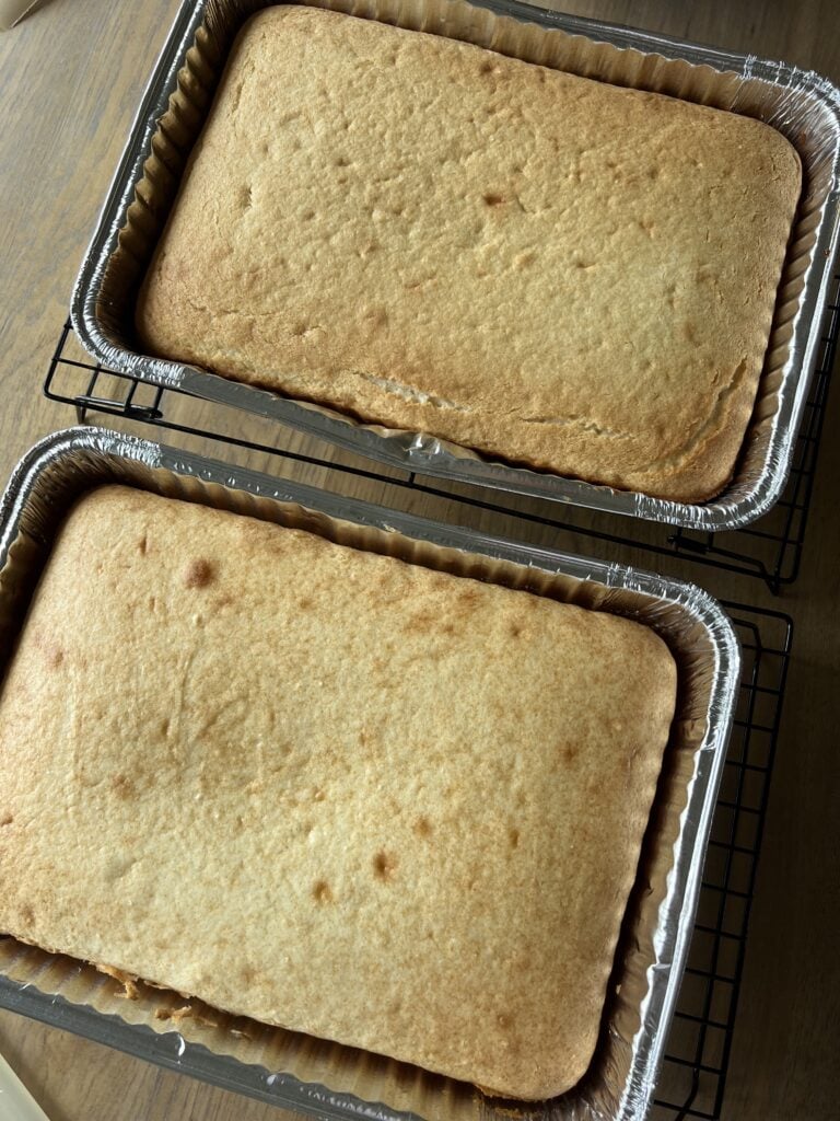 Two baked vanilla cakes on a wire cooling rack.
