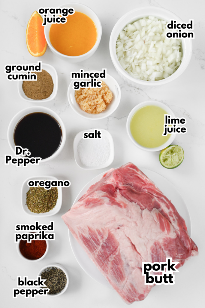 The ingredients needed to make carnitas on a white background.