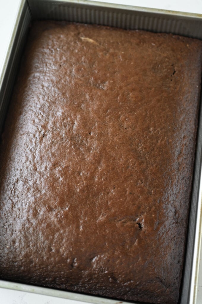 A baked chocolate cake in a 9x13-inch pan.
